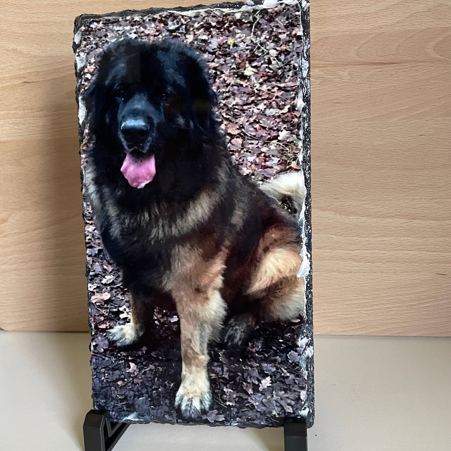 Leisteen berdrukt met een foto van een hond