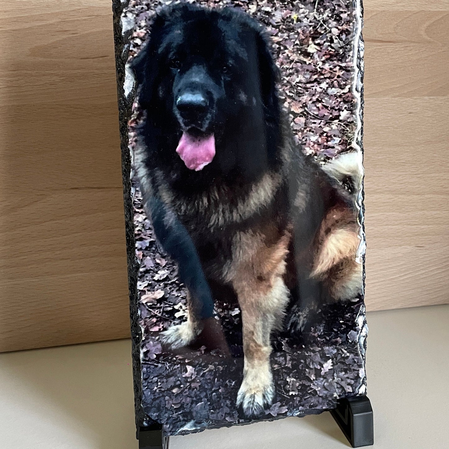 Langwerpige leisteen berukt met een foto van een hond in het bos